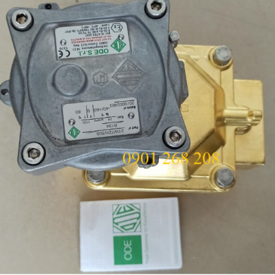 VAN ĐIỆN TỪ LPG 50A CHỐNG NỔ